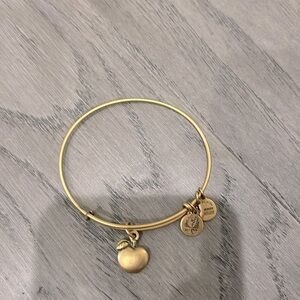 💛Alex and Ani Apple Charm Bracelet in Gold💛
